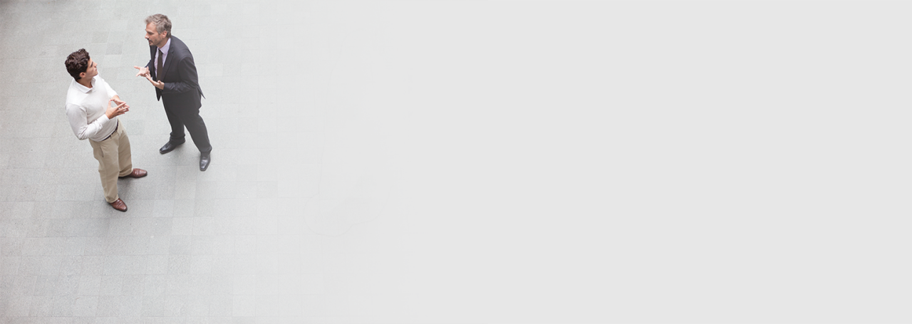 Флексибилно партнерство